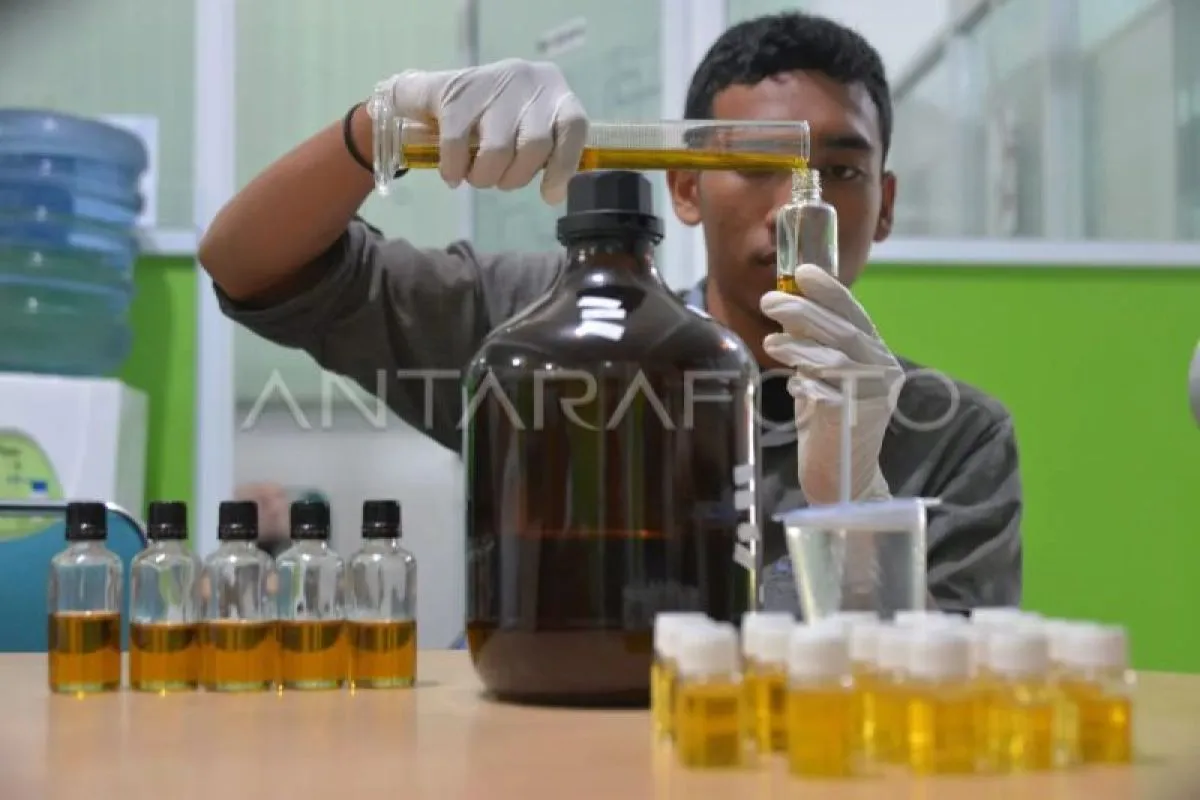 From Micro Enterprise to World Markets: How PT BAS Manages Its Essential Oil Exports