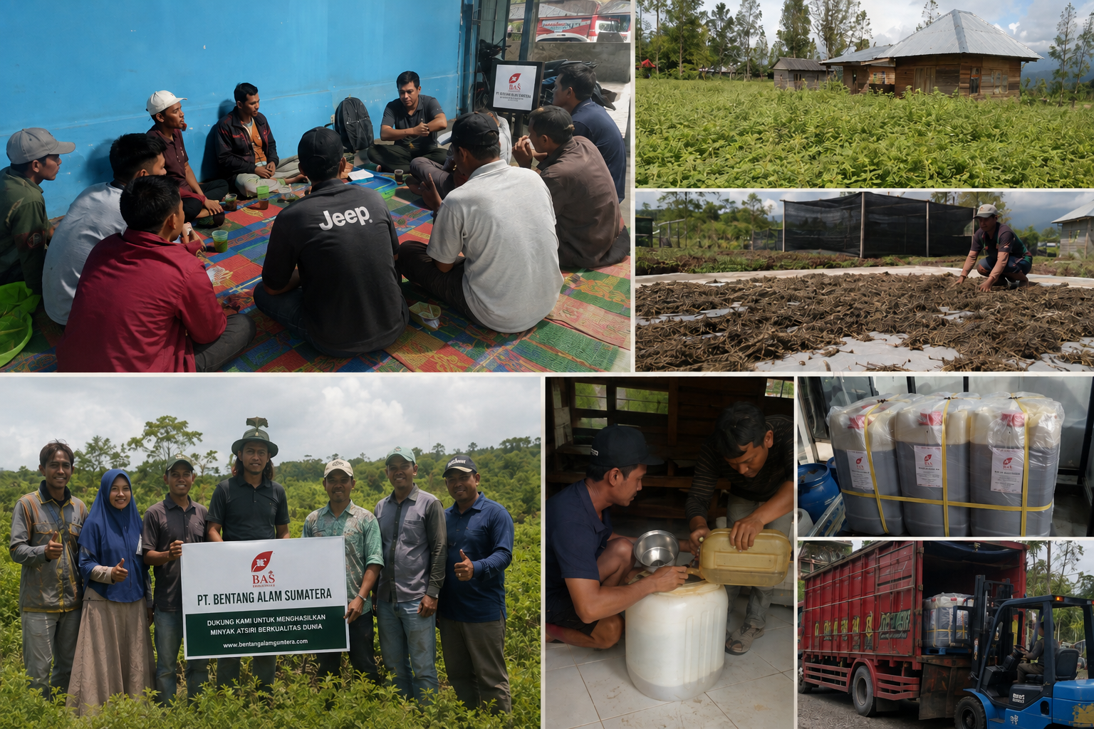 Eight Years On, PT Bentang Alam Sumatera Weaves an Essential Oil Economy From Aceh to West Sumatra