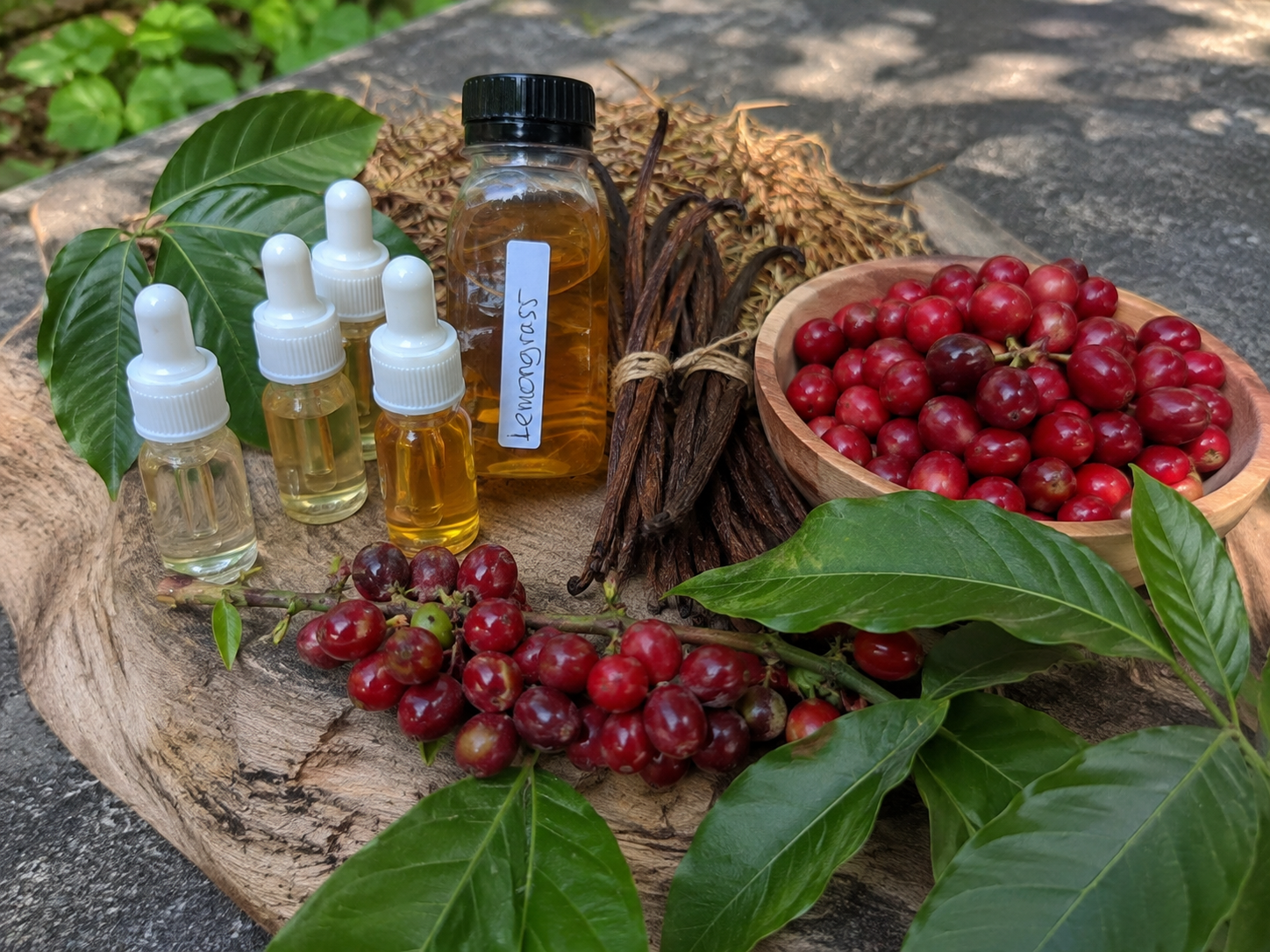 Eight Scents From the Land of Sumatra: The Flagship Products of PT Bentang Alam Sumatera